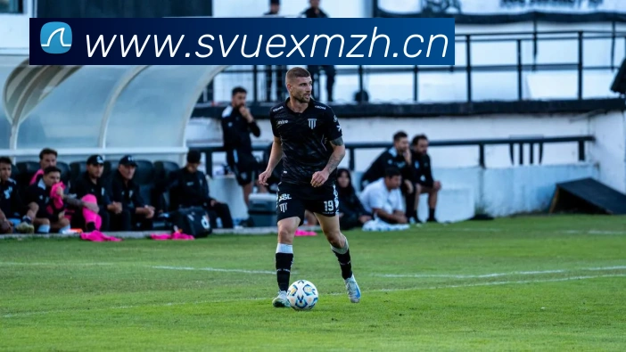 米兰体育网页平台生态图